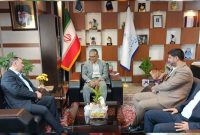 دیدار مدیرعامل پتروشیمی شازند با فرماندار شهرستان