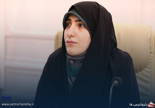 ابزارهای نظارتی مجلس برای «تاپیکو» فعال شد