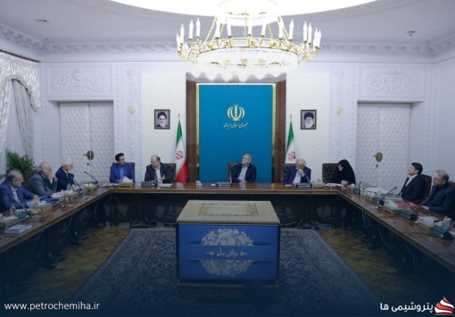 نشست مدیر عامل شرکت شستان و انجمن صنفی کارفرمایی صنعت پتروشیمی با رئیس جمهور + تصاویر