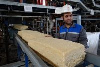 افت ۷۵ درصدی درآمد پتروشیمی تخت جمشید در گزارش ۳ ماهه ۱۴۰۴ / کاهش نرخ SBR عامل اصلی