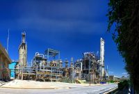 عملکرد ۱۰ ماهه ۱۴۰۴ «پتروشیمی تندگویان»: رشد درآمد و پیشتازی فروش گرید بطری