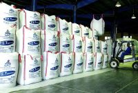 پتروشیمی شهید تندگویان آبان ۱۴۰۴ را با کاهش فروش و درآمد به پایان رساند