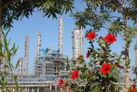 پتروشیمی نوری: افزایش سرمایه از محل سود انباشته در دستور کار قرار دارد