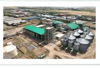 بزرگترین پالایشگاه «بیواتانول» خاورمیانه آماده ساخت شد