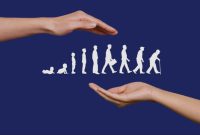 سوابق بیمهای ارکان ثالث وزارت نفت در نرمافزار جامع پیمانکاری مناطق بروزرسانی میشود