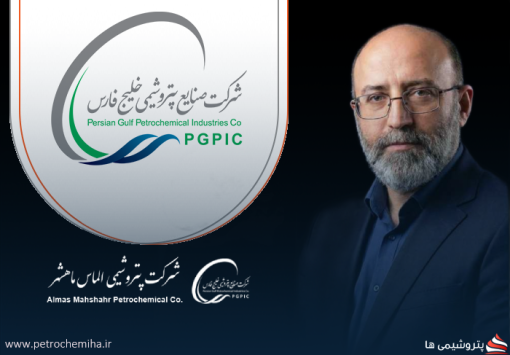 بیوگرافی امیرحسین پهلوان
