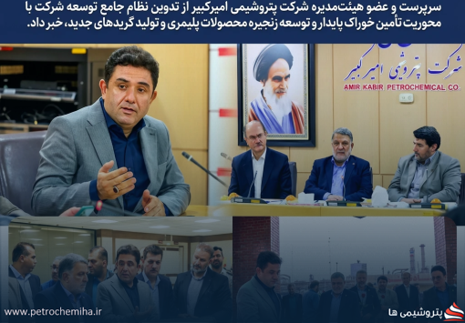 تدوین نظام جامع توسعه پتروشیمی امیرکبیر
