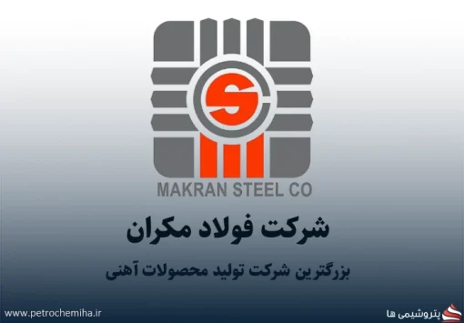 موسی آقایی لنکرانی به عنوان مدیرعامل شرکت فولاد مکران منصوب شد