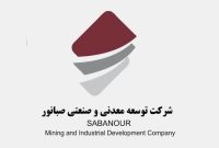 مصطفی متقی به عنوان معاون اقتصادی و مالی هلدینگ صبانور منصوب شد