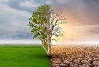 فراز و فرود روند اجرای تعهدات اقلیمی درسال ۲۰۲۶