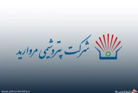 سید مهدی نقوی به عضویت هیأتمدیره پتروشیمی مروارید منصوب شد