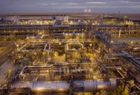 هشت تولیدکننده از ثبات بازار سخن گفتند