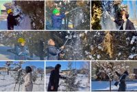 پویش برف تکانی درختان در پتروشیمی ارومیه