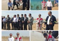 مشارکت شرکت پایانهها و مخازن پتروشیمی در طرح ملی کاشت نهال حرا سهشنبه
