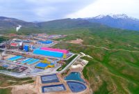 پایان یک چالش بزرگ مالی برای شرکت کود شیمیایی اوره لردگان؛ تبدیل بدهی ارزی به ریالی نهایی میشود