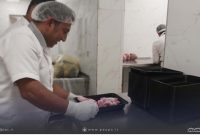 قربانی ۵ رأس گوسفند برای نیازمندان