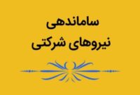 ساماندهی نیروهای شرکتی: تفاوت قراردادها بر اساس مدرک تحصیلی