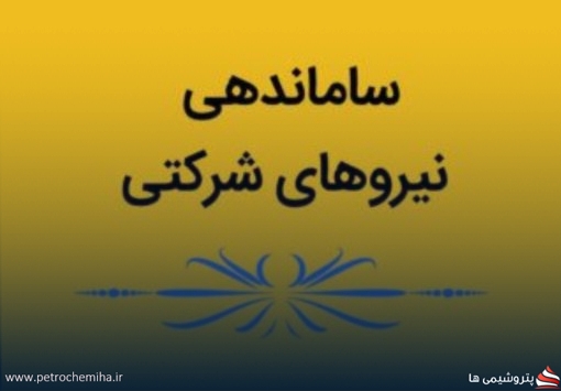 ساماندهی نیروهای شرکتی: تفاوت قراردادها بر اساس مدرک تحصیلی