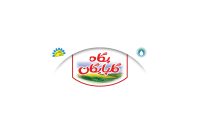 تغییرات در هیئتمدیره غگلپا؛ مدیرعامل جدید پگاه گلپایگان معرفی شد