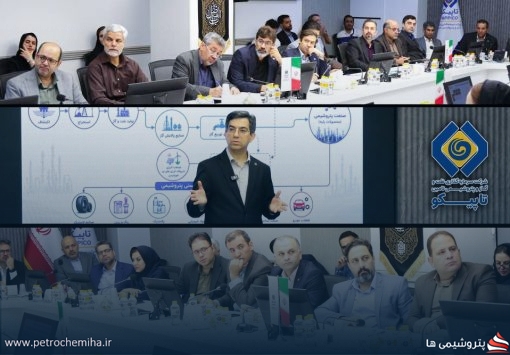 برگزاری هفتمین جلسه دوره تخصصی آموزشی «استراتژی هلدینگ» در تاپیکو