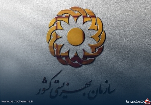 استخدام سازمان بهزیستی آغاز شد؛ جذب نیرو با مدرک دیپلم، کارشناسی و بالاتر