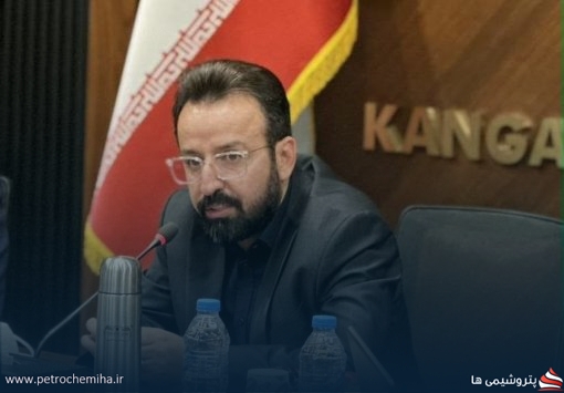 چینش جدید اهداف در پروژه PDH-PP؛ سیدجواد فلاحیان عضو هیئت‌مدیره آلای مهستان شد