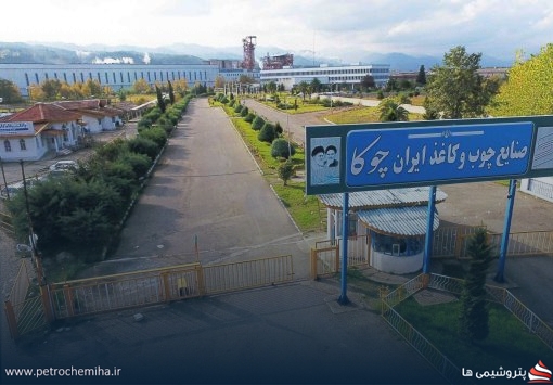 مدیرعامل هلدینگ سلولزی پای درد دل کارگران چوکا نشست