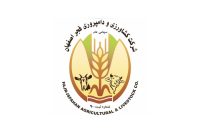 جهش ۲۰۰ درصدی سود پارس الکتریک؛ بازگشت زیرمجموعهها از زیان به سود و بهبود چشمگیر حاکمیت شرکتی