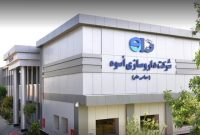 برنامه جدید «شپاکسا» برای افزایش سودآوری؛ از نوسازی ماشینآلات تا توسعه صادرات