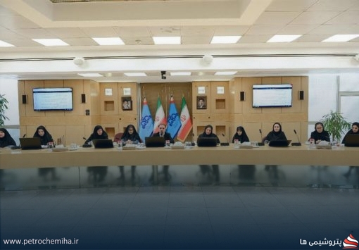 تبیین ۳ راهبرد برای تحقق سیاست‌های اتخاذ شده از سوی دولت در حمایت از بانوان