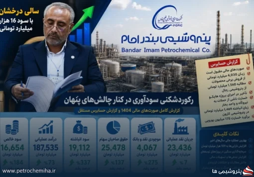 کالبدشکافی صورت‌های مالی پتروشیمی بندر امام ۱۲ ماهه منتهی به ۱۴۰۴/۱۲/۲۹