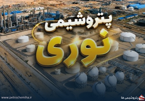 «نوری» زمان‌بندی پرداخت سود نقدی سهام سال مالی ۱۴۰۴ را اعلام کرد