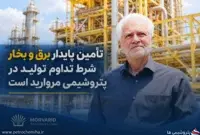 مدیرعامل پتروشیمی مروارید: برق و بخار بخشی از زنجیره اصلی تولید هستند