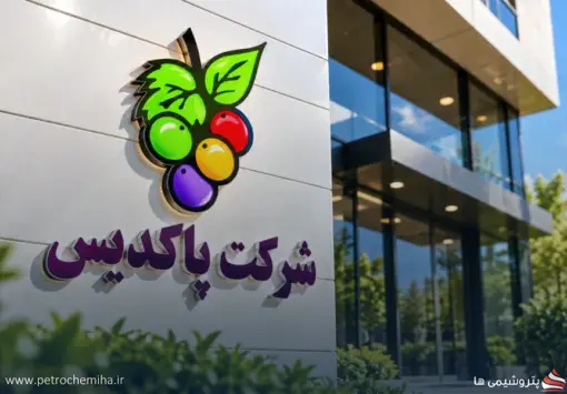 «پاکدیس» در نیمه نخست ۱۴۰۵ نزدیک ۵ همت فروش ثبت کرد