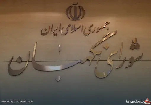 از مرگ مغزی تا قصاص و دیه؛ ایرادات شورای نگهبان به قانون جامع سلامت