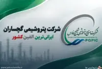 انتصابات جدید در پتروشیمی پلیمر گچساران؛ ۴ مدیر معرفی شدند