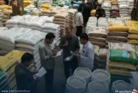 برنج پاکستانی گران شد اما فعلاً متوقف شد؛ قیمت ۱۰ کیلویی‌ها چقدر است؟