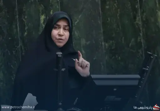 فاطمه مقصودی: شستا به حیات خلوت عده‌ای سیاسی‌کار تبدیل شده است